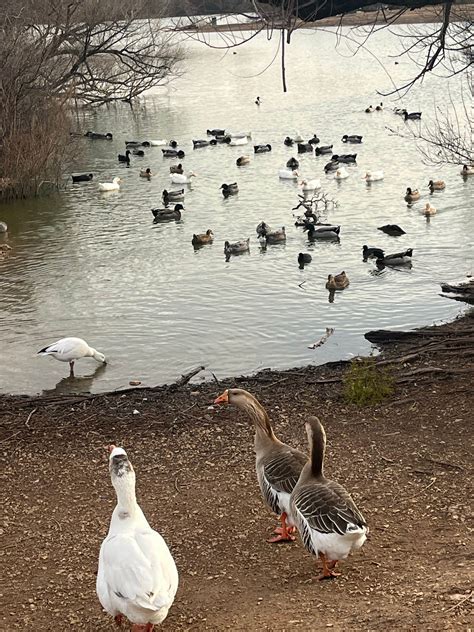 Comanche trail park campground | Big Spring, TX