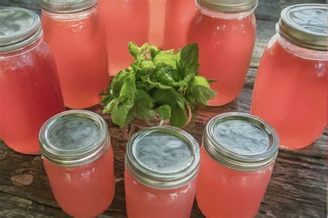 Watermelon Moonshine Recipe: How to Make It at Home - RecipeStrip