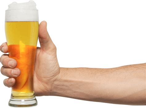 Collection of Beer PNG. | PlusPNG