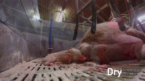 DryCell - YouTube