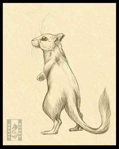 Mongolian Gerbil by Husky-Foxgryph on DeviantArt