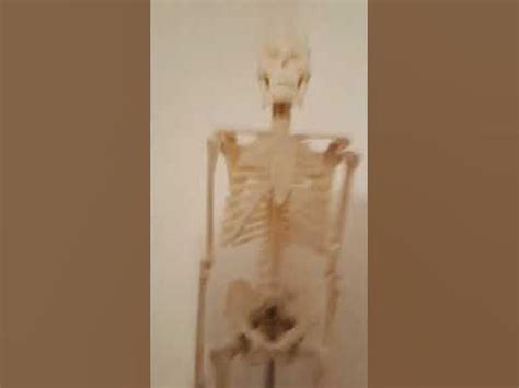 Skeelet Tanz wider - YouTube