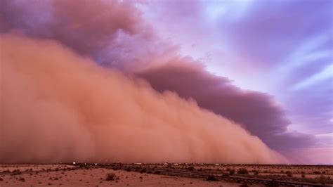 stay safe   dust storm