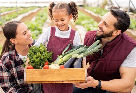 Farmer, Family and Box with Vegetables from Agriculture, Happy with ...