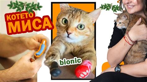 КОТЕ МИСА и невероятната й история - YouTube