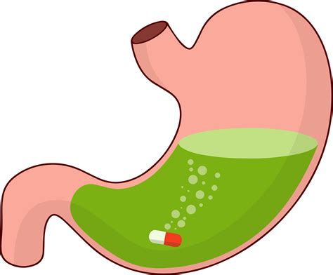 Inside Stomach Cartoon