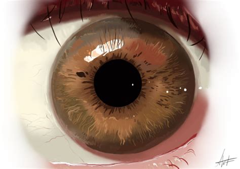 eye  rdrawing