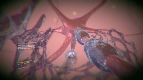 VEV: Viva Ex Vivo Review – GameSpew