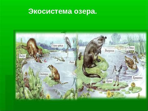 Презентация "Экосистема" - скачать бесплатно