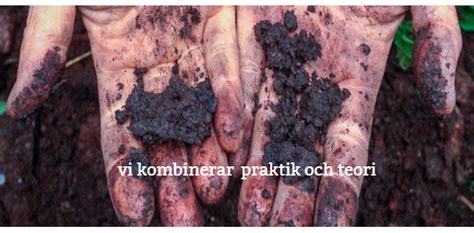 Holma folkhögskola - folkhogskola.nu
