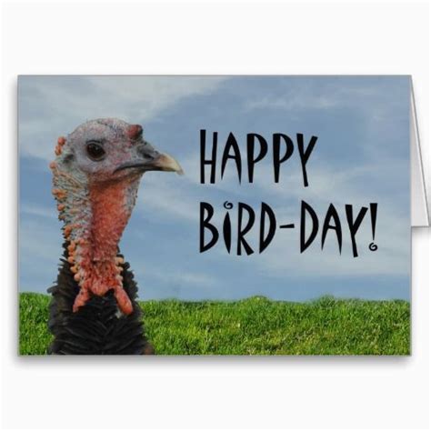 Thanksgiving Birthday Meme | BirthdayBuzz