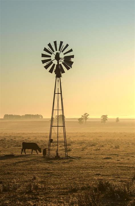 windmill   farm  stock photo  vecteezy