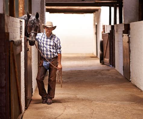 Its Time To Go for a Ride. a Caring Ranch Hand Attending To a Horse in ...
