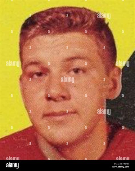 alex delvecchio cropped portrait stock photo alamy