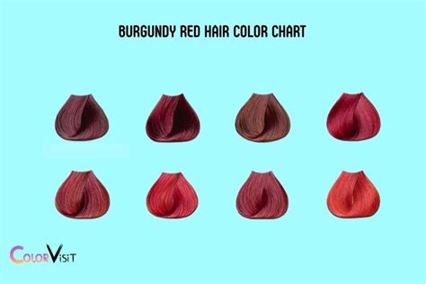 burgundy red hair color chart  shades