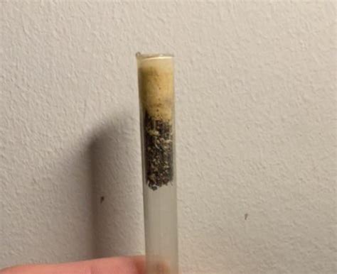 rez hit    youre  embarrassment