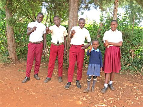 Diploma Ya Shule Ya Msingi 3