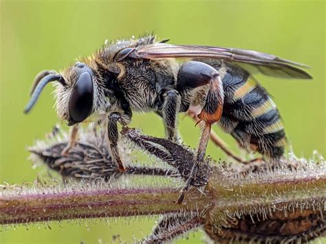 Micro+Bikinis+Gifs Photos, Download The BEST Free Micro+Bikinis+Gifs