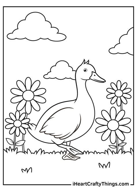 Duck Coloring Pages (Updated 2021)