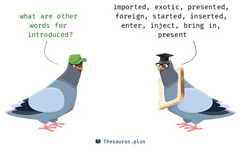 Introduced Synonyms and Introduced Antonyms. Similar and opposite words ...