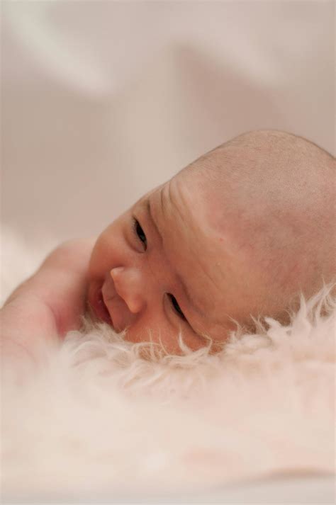 Baby Giraffe Photos, Download The BEST Free Baby Giraffe Stock Photos ...