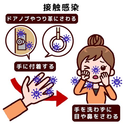 接触感染テキスト入(カラー)/感染経路2/感染予防/介護・医療/無料イラスト素材