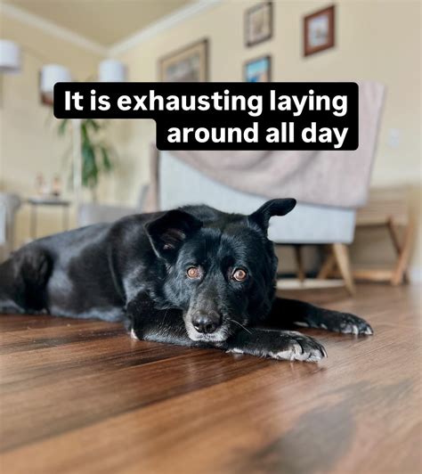 Melissa Melendez (@casenmelendez) • Instagram photos and videos