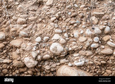 view of conglomerate, sedimentary rock, geology Stock Photo - Alamy