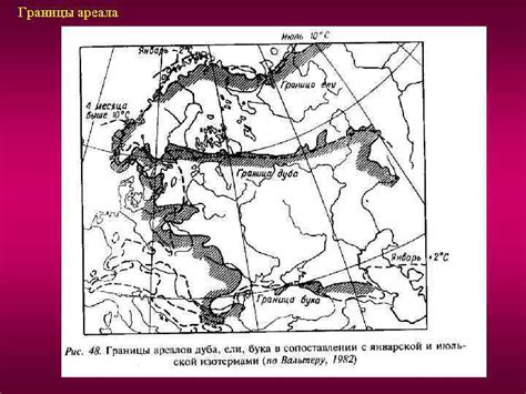 Ареал Характеристика и типология Графическое изображение ареала