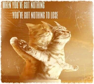 titanic | Titanic, Cats, Funny