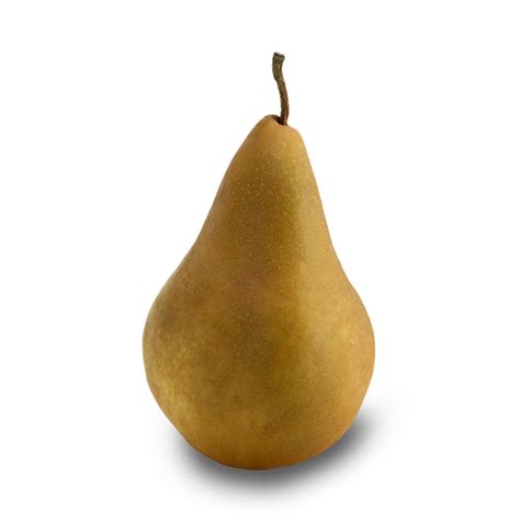 Bosc Pears – Balsam Farms