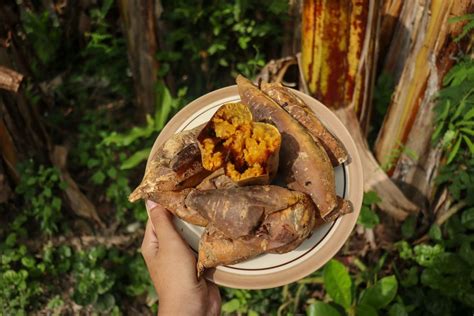 masak ubi cilembu  empuk  lembut