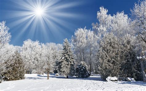 Snow Photography | PHOTOGRAPHY