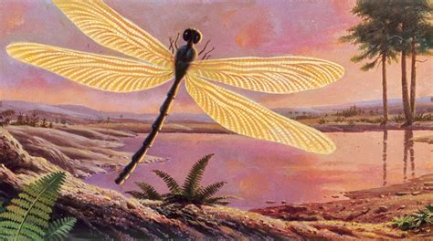 Why Giant Bugs Once Roamed the Earth | National Geographic