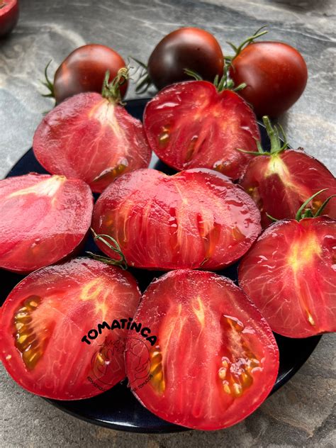 Синяя груша – Tomatinсa.ru