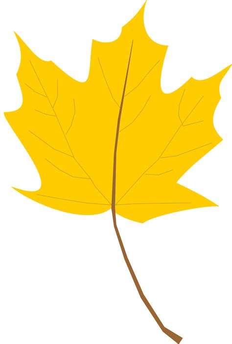 Free photo: yellow leaf - Autumn, Closeup, Ecology - Free Download - Jooinn
