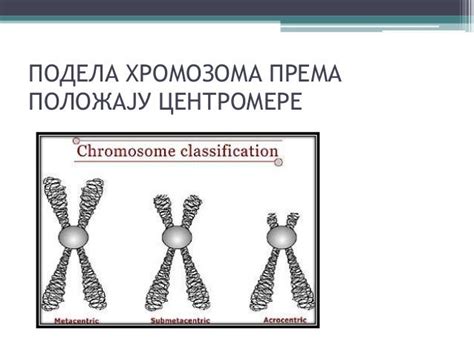 хумана генетика 2