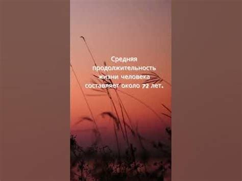 Солько продолжительность жизн. - YouTube