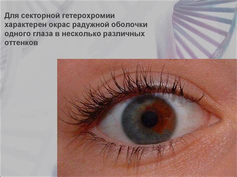 Интересные факты о генетике - презентация онлайн