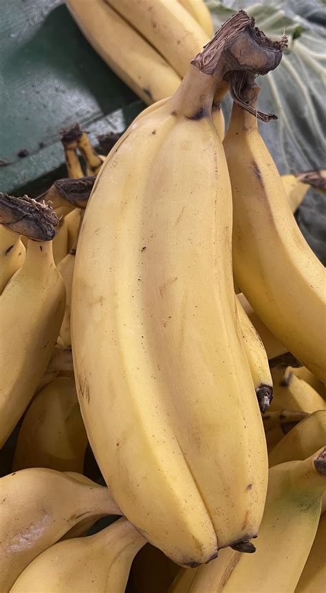 A double banana : r/bananas