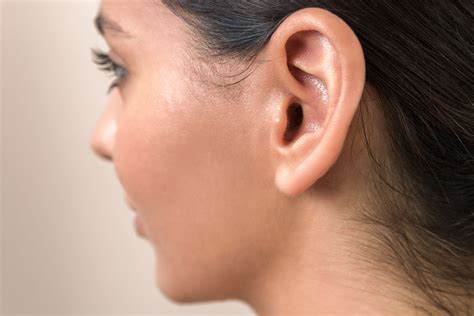 Outer Ear: Anatomy, Location, and Function - Verywell Health