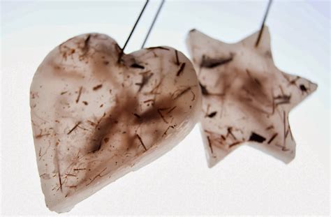 florasense: Parafininiai inkliuzai. Paraffin inclusions