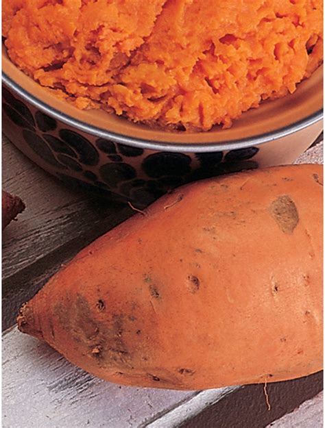 Sweet Potato, Vardaman - Burpee