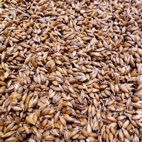 boost  beer  benefits  chit malt  swaen