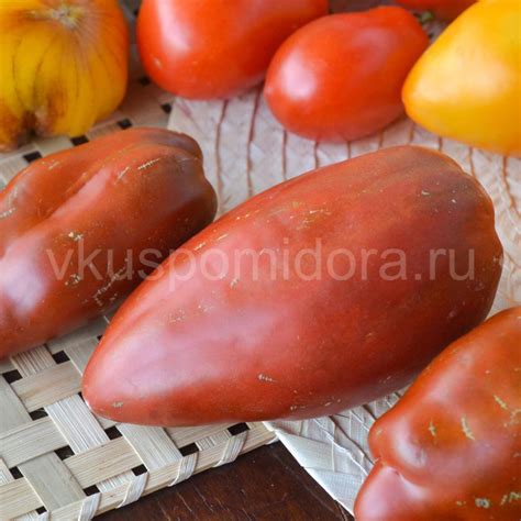 Купить семена томата сорт Кубинский перцевидный