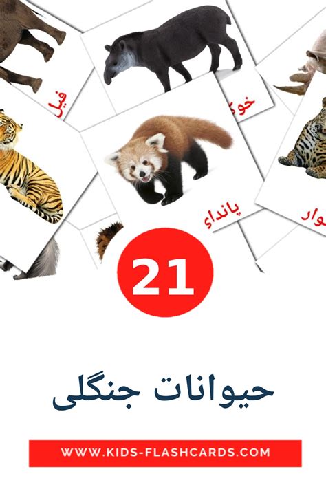 21 карточка Животные африки для детей на персидском (PDF файлы)