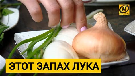 Чем перебить запах лука? Эксперимент: дышим на парфюмера - YouTube