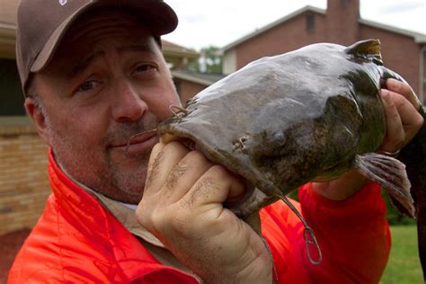 Tackle the Bizarre Pictures : Bizarre Foods America : Travel Channel ...