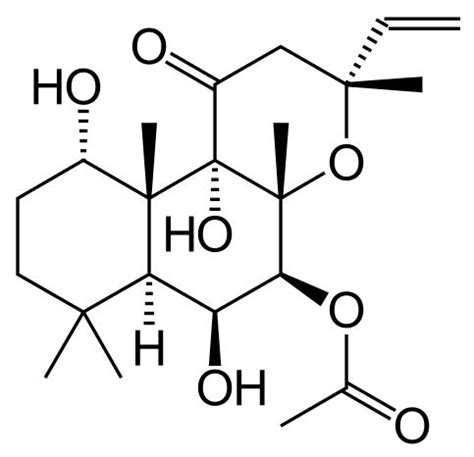 Forskolin - Nootropics Expert