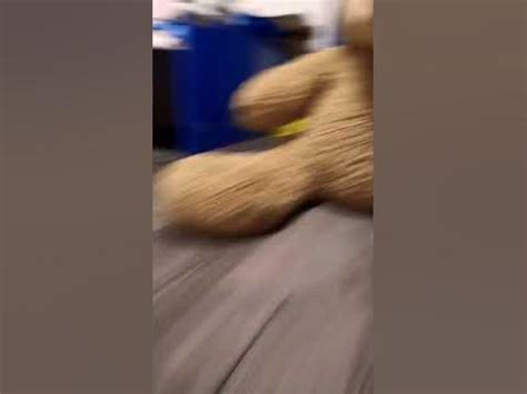ведміть🧸 - YouTube